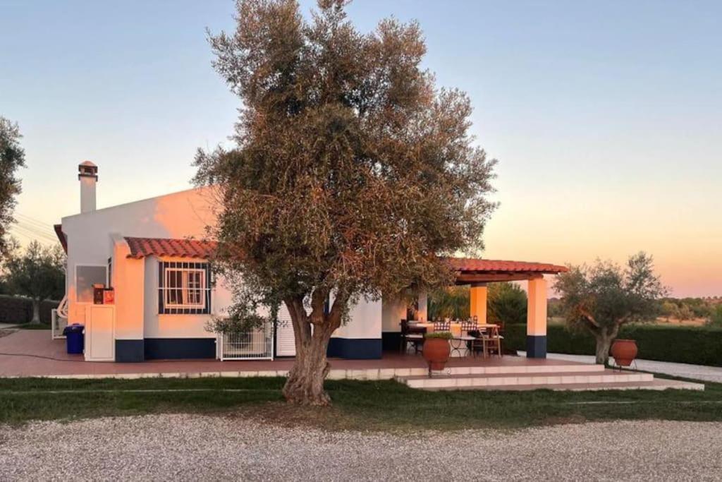 Casa Das Oliveiras Avis Kültér fotó