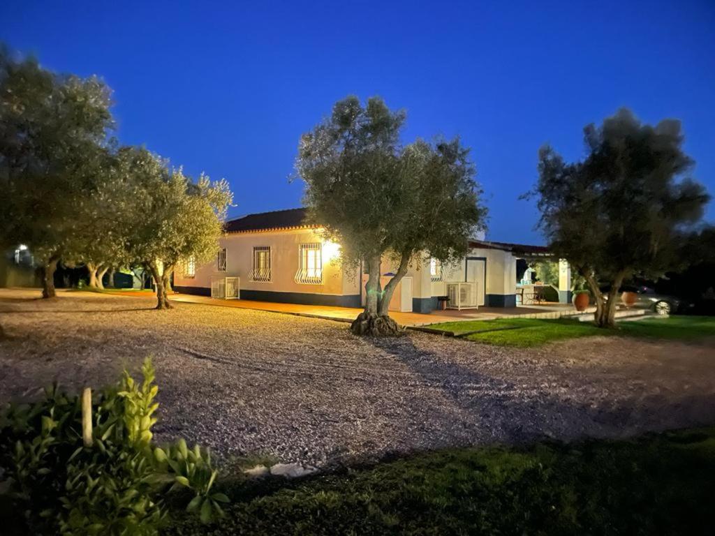 Casa Das Oliveiras Avis Kültér fotó
